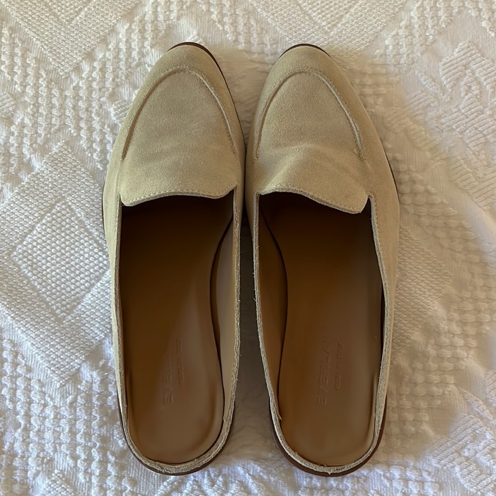 Everlane modern suede mule in bone. Size 9 new without box